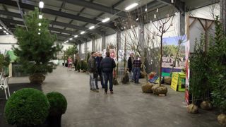 Entouré d’une salon virtuel sur le web, l’édition physique permet aux professionnels de se retrouver autour des plantes d’extérieur. © Grootgroen+ Entouré d’une salon virtuel sur le web, l’édition physique permet aux professionnels de se retrouver autour des plantes d’extérieur. © Grootgroen+